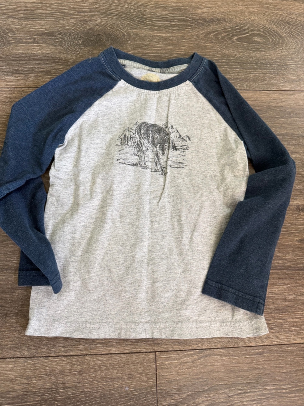 Sz 4t Raglan Tee with Fish Illustration - Gray & Navy